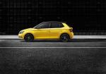 Skoda Fabia 2015 года (CN)